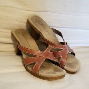 Brown Strap Chunky Heel Slides